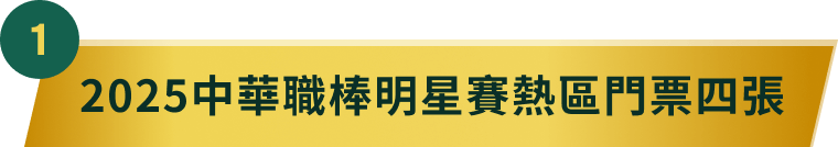 2025中華職棒明星賽熱區門票四張